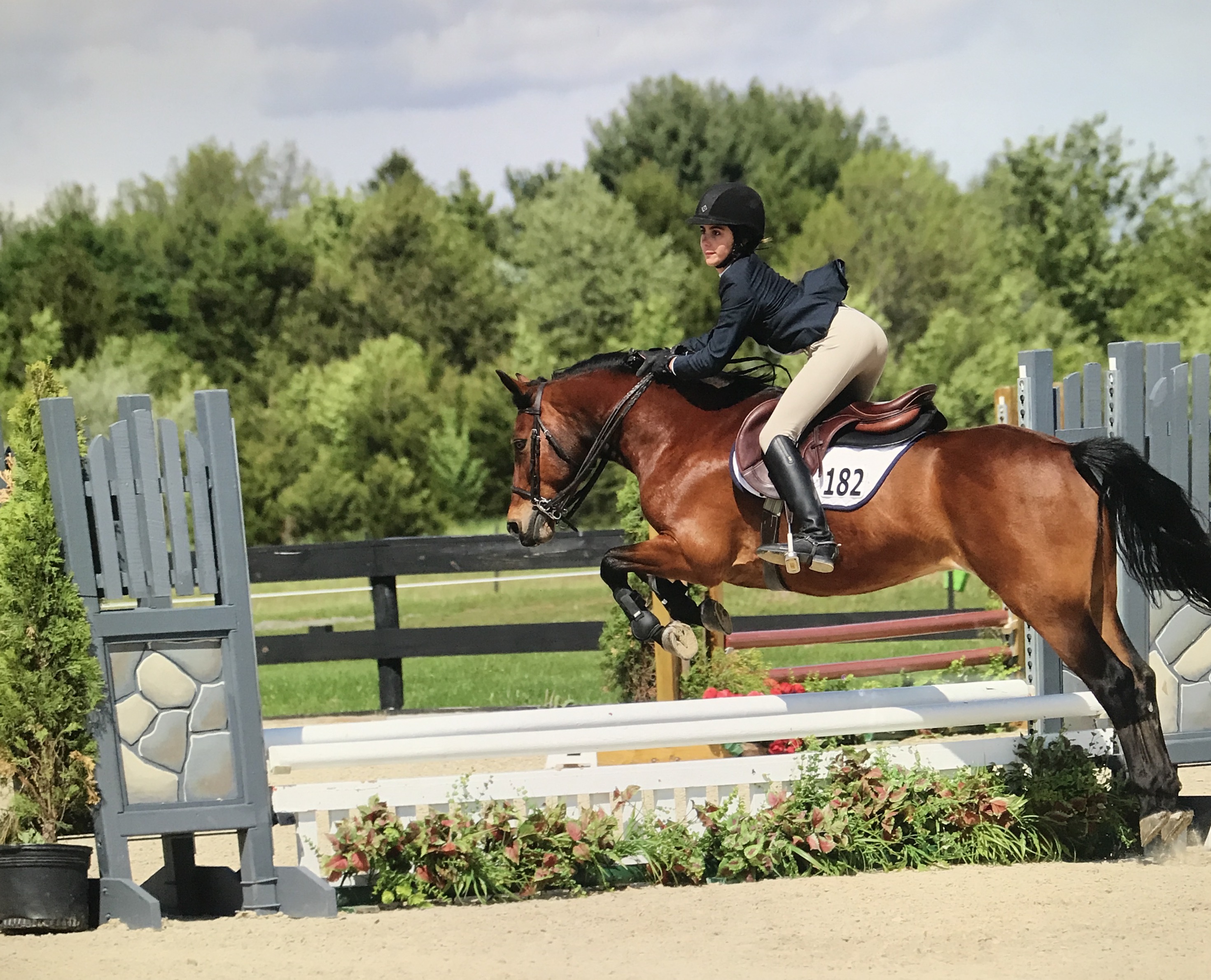 Connemara Pony by Greystone's Adirondack A'Herne